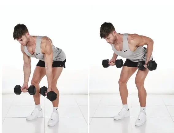 Dumbbell Only Workout