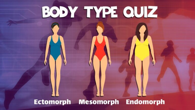 Your Body Type