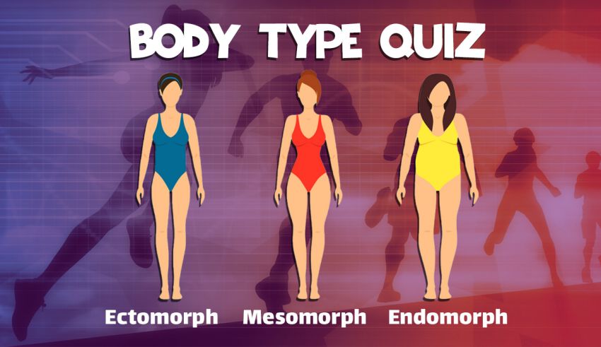 Your Body Type